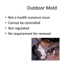 Outdoor Mold
• Not a health nuisance issue
• Cannot be controlled
• Not regulated
• No requirement for removal
 