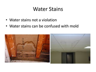 Water Stains
• Water stains not a violation
• Water stains can be confused with mold
 