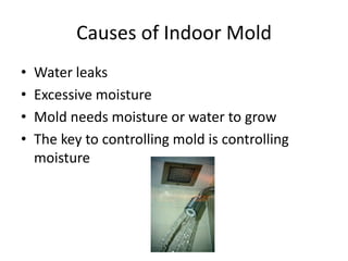 Causes of Indoor Mold
• Water leaks
• Excessive moisture
• Mold needs moisture or water to grow
• The key to controlling mold is controlling
moisture
 