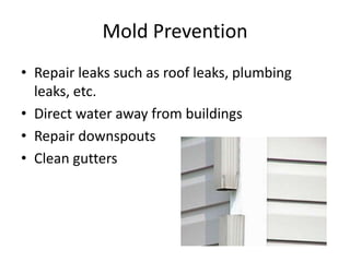 Mold Prevention
• Repair leaks such as roof leaks, plumbing
leaks, etc.
• Direct water away from buildings
• Repair downspouts
• Clean gutters
 