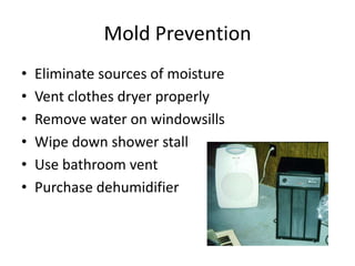 Mold Prevention
• Eliminate sources of moisture
• Vent clothes dryer properly
• Remove water on windowsills
• Wipe down shower stall
• Use bathroom vent
• Purchase dehumidifier
 