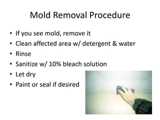 Mold Removal Procedure
• If you see mold, remove it
• Clean affected area w/ detergent & water
• Rinse
• Sanitize w/ 10% bleach solution
• Let dry
• Paint or seal if desired
 