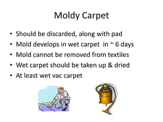 Moldy Carpet
• Should be discarded, along with pad
• Mold develops in wet carpet in ~ 6 days
• Mold cannot be removed from textiles
• Wet carpet should be taken up & dried
• At least wet vac carpet
 