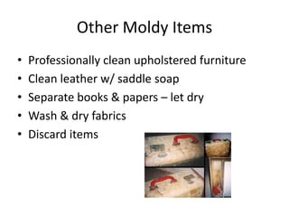 Other Moldy Items
• Professionally clean upholstered furniture
• Clean leather w/ saddle soap
• Separate books & papers – let dry
• Wash & dry fabrics
• Discard items
 