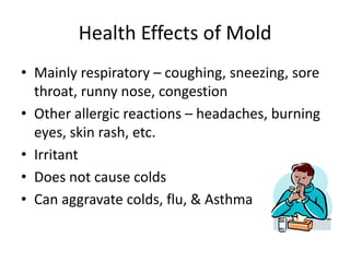 Health Effects of Mold
• Mainly respiratory – coughing, sneezing, sore
throat, runny nose, congestion
• Other allergic reactions – headaches, burning
eyes, skin rash, etc.
• Irritant
• Does not cause colds
• Can aggravate colds, flu, & Asthma
 