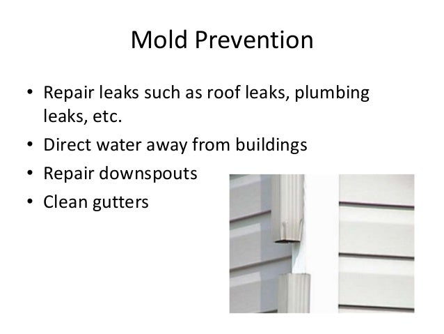 Dehumidifier landlord responsibility Dehumidifier landlord responsibility