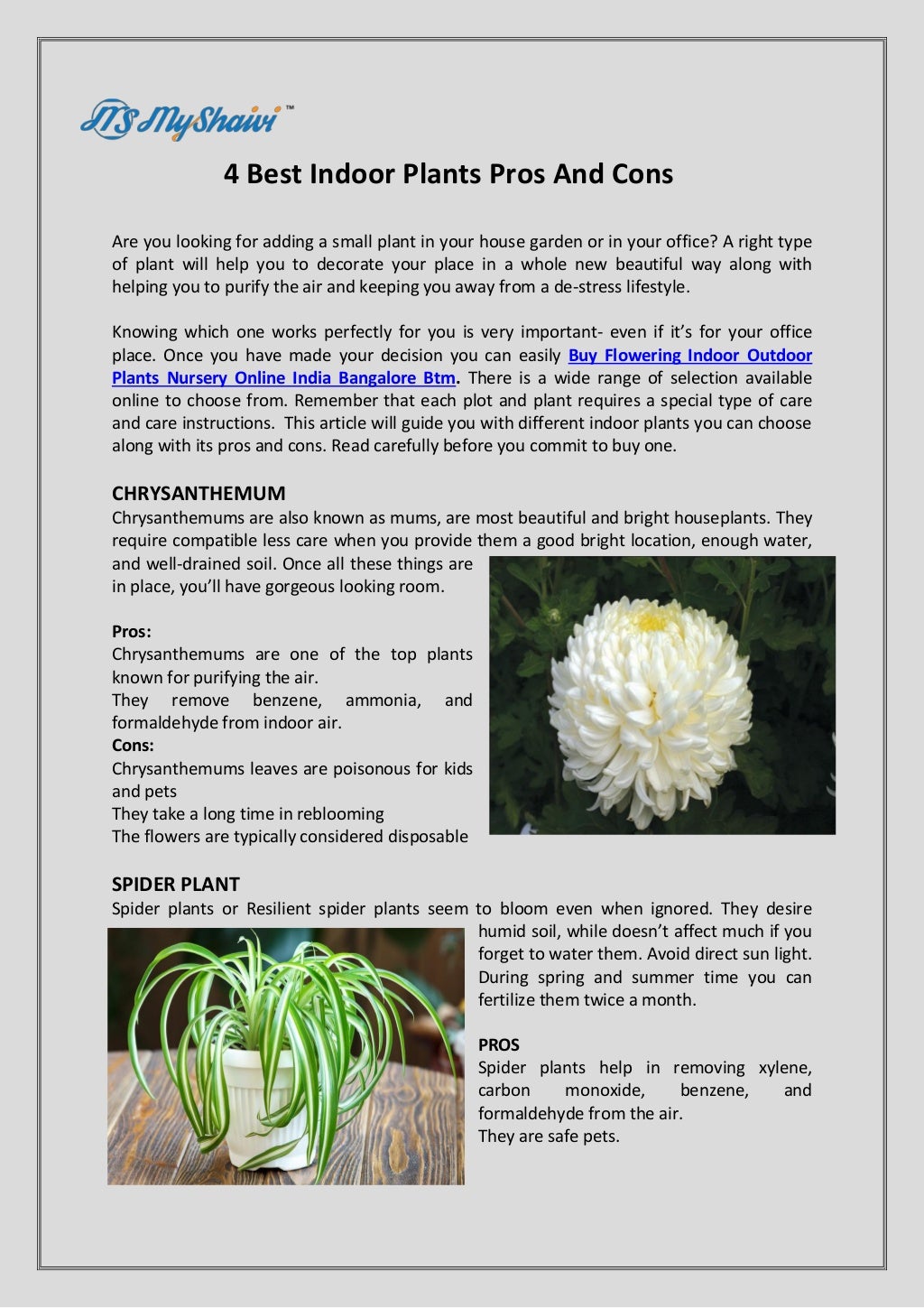 Indoor Outdoor Plants Nursery Online India Bangalore Btm