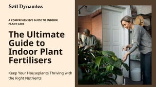 The Ultimate Guide to Indoor Plant Fertilisers: Keep Your Houseplants ...