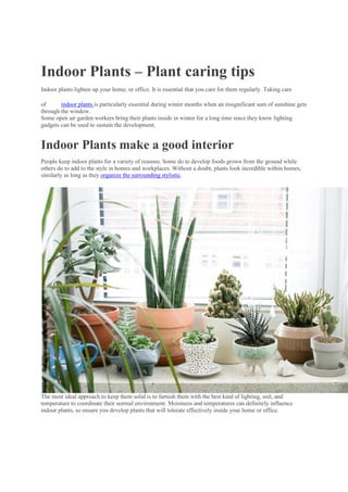 Indoor Plants – Plant caring tips
Indoor plants lighten up your home, or office. It is essential that you care for them regularly. Taking care
of indoor plants is particularly essential during winter months when an insignificant sum of sunshine gets
through the window.
Some open air garden workers bring their plants inside in winter for a long time since they know lighting
gadgets can be used to sustain the development.
Indoor Plants make a good interior
People keep indoor plants for a variety of reasons. Some do to develop foods grown from the ground while
others do to add to the style in homes and workplaces. Without a doubt, plants look incredible within homes,
similarly as long as they organize the surrounding stylistic.
The most ideal approach to keep them solid is to furnish them with the best kind of lighting, soil, and
temperature to coordinate their normal environment. Moistness and temperatures can definitely influence
indoor plants, so ensure you develop plants that will tolerate effectively inside your home or office.
 