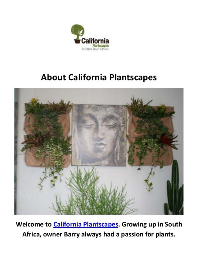 California Plantscapes Indoor Plant Service In Irvine Ca