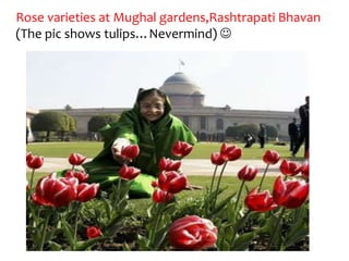 Rose varieties at Mughal gardens,Rashtrapati Bhavan
(The pic shows tulips…Nevermind) 
 