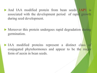 effects of auxin - cytokinin on seed development | PPTX