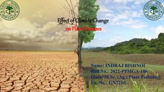 Effect of Climate Change
on Plant Diseases
Name: INDRAJ BISHNOI
Roll No.: 2022-PPMGA-106
Class: M.Sc. (Ag.) Plant Pathology
En. No.: GN7210
 