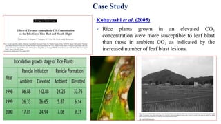 Case Study
Kobayashi et al. (2005)
 Rice plants grown in an elevated CO2
concentration were more susceptible to leaf blast
than those in ambient CO2 as indicated by the
increased number of leaf blast lesions.
 