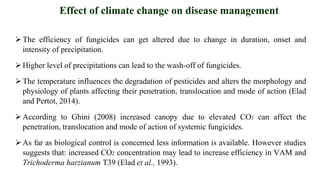 The efficiency of fungicides can get altered due to change in duration, onset and
intensity of precipitation.
Higher level of precipitations can lead to the wash-off of fungicides.
The temperature influences the degradation of pesticides and alters the morphology and
physiology of plants affecting their penetration, translocation and mode of action (Elad
and Pertot, 2014).
According to Ghini (2008) increased canopy due to elevated CO2 can affect the
penetration, translocation and mode of action of systemic fungicides.
As far as biological control is concerned less information is available. However studies
suggests that: increased CO2 concentration may lead to increase efficiency in VAM and
Trichoderma harzianum T39 (Elad et al., 1993).
Effect of climate change on disease management
 