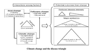 Climate change and the disease triangle
 