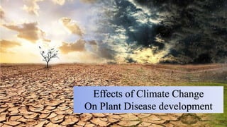 Effects of Climate Change
On Plant Disease development
 