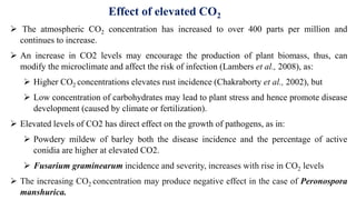  The atmospheric CO2 concentration has increased to over 400 parts per million and
continues to increase.
 An increase in CO2 levels may encourage the production of plant biomass, thus, can
modify the microclimate and affect the risk of infection (Lambers et al., 2008), as:
 Higher CO2 concentrations elevates rust incidence (Chakraborty et al., 2002), but
 Low concentration of carbohydrates may lead to plant stress and hence promote disease
development (caused by climate or fertilization).
 Elevated levels of CO2 has direct effect on the growth of pathogens, as in:
 Powdery mildew of barley both the disease incidence and the percentage of active
conidia are higher at elevated CO2.
 Fusarium graminearum incidence and severity, increases with rise in CO2 levels
 The increasing CO2 concentration may produce negative effect in the case of Peronospora
manshurica.
Effect of elevated CO2
 