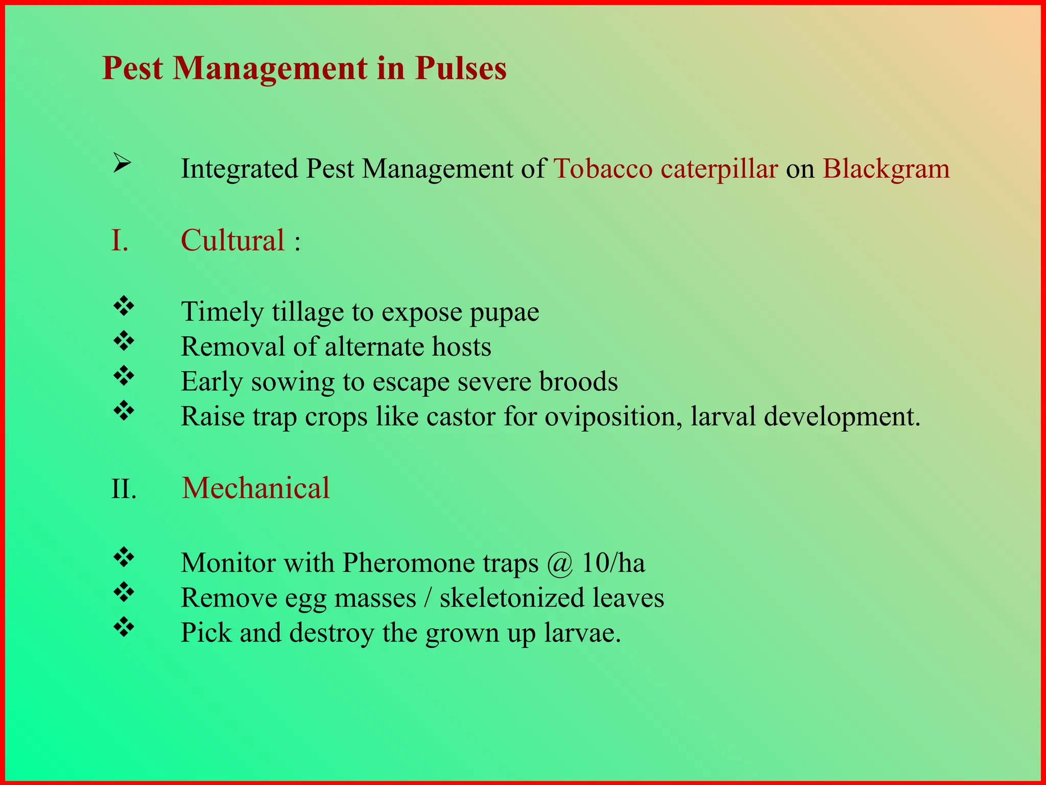  Integrated Pest Management of Tobacco caterpillar on Blackgram
I. Cultural :
 Timely tillage to expose pupae
 Removal of alternate hosts
 Early sowing to escape severe broods
 Raise trap crops like castor for oviposition, larval development.
II. Mechanical
 Monitor with Pheromone traps @ 10/ha
 Remove egg masses / skeletonized leaves
 Pick and destroy the grown up larvae.
Pest Management in Pulses
 