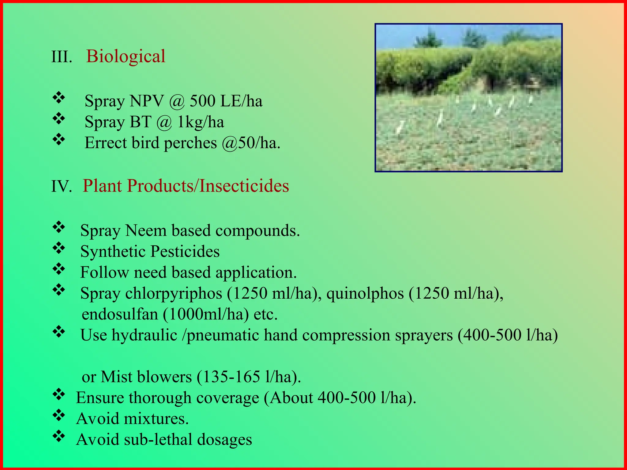 III. Biological
 Spray NPV @ 500 LE/ha
 Spray BT @ 1kg/ha
 Errect bird perches @50/ha.
IV. Plant Products/Insecticides
 Spray Neem based compounds.
 Synthetic Pesticides
 Follow need based application.
 Spray chlorpyriphos (1250 ml/ha), quinolphos (1250 ml/ha),
endosulfan (1000ml/ha) etc.
 Use hydraulic /pneumatic hand compression sprayers (400-500 l/ha)
or Mist blowers (135-165 l/ha).
 Ensure thorough coverage (About 400-500 l/ha).
 Avoid mixtures.
 Avoid sub-lethal dosages
 