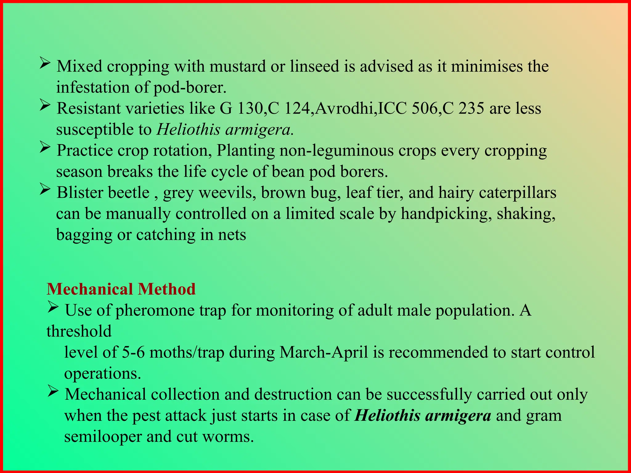 Mechanical Method
 Use of pheromone trap for monitoring of adult male population. A
threshold
level of 5-6 moths/trap during March-April is recommended to start control
operations.
 Mechanical collection and destruction can be successfully carried out only
when the pest attack just starts in case of Heliothis armigera and gram
semilooper and cut worms.
 Mixed cropping with mustard or linseed is advised as it minimises the
infestation of pod-borer.
 Resistant varieties like G 130,C 124,Avrodhi,ICC 506,C 235 are less
susceptible to Heliothis armigera.
 Practice crop rotation, Planting non-leguminous crops every cropping
season breaks the life cycle of bean pod borers.
 Blister beetle , grey weevils, brown bug, leaf tier, and hairy caterpillars
can be manually controlled on a limited scale by handpicking, shaking,
bagging or catching in nets
 