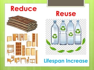 Understanding the 3 R's: Reduce, Reuse, Recycle for Environmental ...