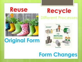Understanding the 3 R's: Reduce, Reuse, Recycle for Environmental ...