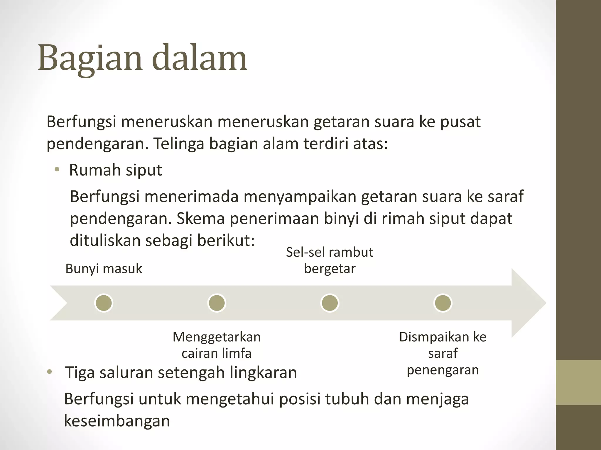 Bagian dalam
Berfungsi meneruskan meneruskan getaran suara ke pusat
pendengaran. Telinga bagian alam terdiri atas:
• Rumah siput
Berfungsi menerimada menyampaikan getaran suara ke saraf
pendengaran. Skema penerimaan binyi di rimah siput dapat
dituliskan sebagi berikut:
• Tiga saluran setengah lingkaran
Berfungsi untuk mengetahui posisi tubuh dan menjaga
keseimbangan
Bunyi masuk
Menggetarkan
cairan limfa
Sel-sel rambut
bergetar
Dismpaikan ke
saraf
penengaran
 