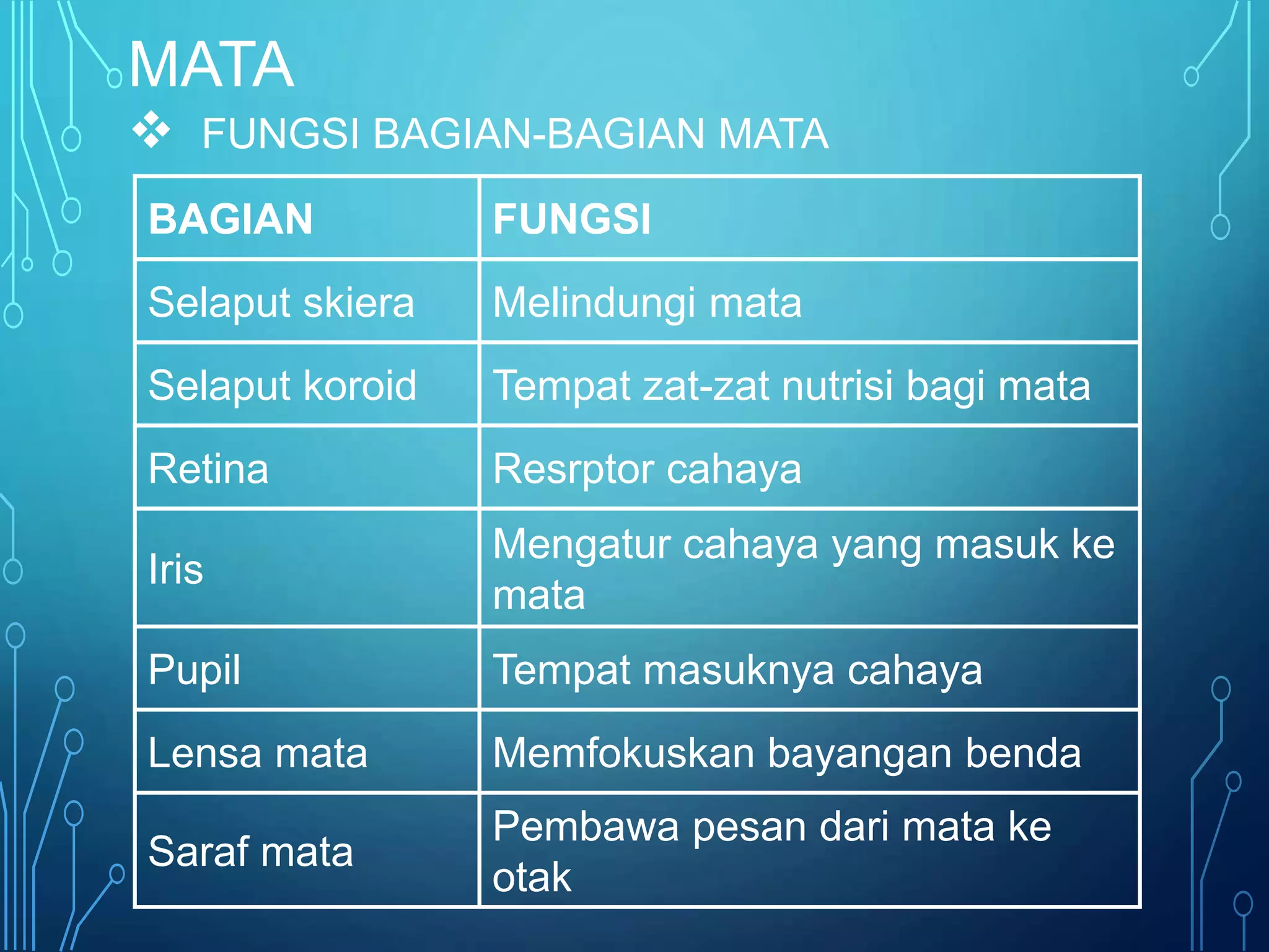 BAGIAN FUNGSI
Selaput skiera Melindungi mata
Selaput koroid Tempat zat-zat nutrisi bagi mata
Retina Resrptor cahaya
Iris
Mengatur cahaya yang masuk ke
mata
Pupil Tempat masuknya cahaya
Lensa mata Memfokuskan bayangan benda
Saraf mata
Pembawa pesan dari mata ke
otak
MATA
 FUNGSI BAGIAN-BAGIAN MATA
 