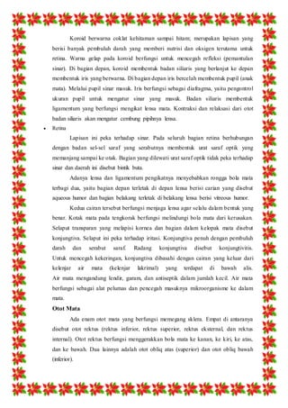 Koroid berwarna coklat kehitaman sampai hitam; merupakan lapisan yang 
berisi banyak pembuluh darah yang memberi nutrisi dan oksigen terutama untuk 
retina. Warna gelap pada koroid berfungsi untuk mencegah refleksi (pemantulan 
sinar). Di bagian depan, koroid membentuk badan siliaris yang berlanjut ke depan 
membentuk iris yang berwarna. Di bagian depan iris bercelah membentuk pupil (anak 
mata). Melalui pupil sinar masuk. Iris berfungsi sebagai diafragma, yaitu pengontrol 
ukuran pupil untuk mengatur sinar yang masuk. Badan siliaris membentuk 
ligamentum yang berfungsi mengikat lensa mata. Kontraksi dan relaksasi dari otot 
badan siliaris akan mengatur cembung pipihnya lensa. 
 Retina 
Lapisan ini peka terhadap sinar. Pada seluruh bagian retina berhubungan 
dengan badan sel-sel saraf yang serabutnya membentuk urat saraf optik yang 
memanjang sampai ke otak. Bagian yang dilewati urat saraf optik tidak peka terhadap 
sinar dan daerah ini disebut bintik buta. 
Adanya lensa dan ligamentum pengikatnya menyebabkan rongga bola mata 
terbagi dua, yaitu bagian depan terletak di depan lensa berisi carian yang disebut 
aqueous humor dan bagian belakang terletak di belakang lensa berisi vitreous humor. 
Kedua cairan tersebut berfungsi menjaga lensa agar selalu dalam bentuk yang 
benar. Kotak mata pada tengkorak berfungsi melindungi bola mata dari kerusakan. 
Selaput transparan yang melapisi kornea dan bagian dalam kelopak mata disebut 
konjungtiva. Selaput ini peka terhadap iritasi. Konjungtiva penuh dengan pembuluh 
darah dan serabut saraf. Radang konjungtiva disebut konjungtivitis. 
Untuk mencegah kekeringan, konjungtiva dibasahi dengan cairan yang keluar dari 
kelenjar air mata (kelenjar lakrimal) yang terdapat di bawah alis. 
Air mata mengandung lendir, garam, dan antiseptik dalam jumlah kecil. Air mata 
berfungsi sebagai alat pelumas dan pencegah masuknya mikroorganisme ke dalam 
mata. 
Otot Mata 
Ada enam otot mata yang berfungsi memegang sklera. Empat di antaranya 
disebut otot rektus (rektus inferior, rektus superior, rektus eksternal, dan rektus 
internal). Otot rektus berfungsi menggerakkan bola mata ke kanan, ke kiri, ke atas, 
dan ke bawah. Dua lainnya adalah otot obliq atas (superior) dan otot obliq bawah 
(inferior). 
 