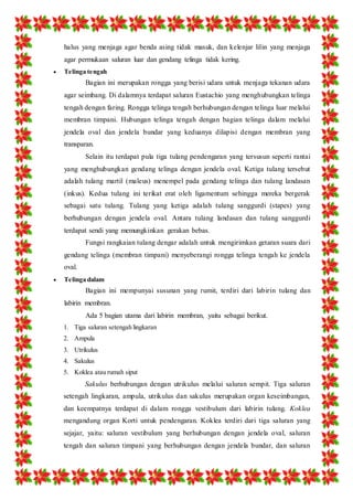 halus yang menjaga agar benda asing tidak masuk, dan kelenjar lilin yang menjaga 
agar permukaan saluran luar dan gendang telinga tidak kering. 
 Telinga tengah 
Bagian ini merupakan rongga yang berisi udara untuk menjaga tekanan udara 
agar seimbang. Di dalamnya terdapat saluran Eustachio yang menghubungkan telinga 
tengah dengan faring. Rongga telinga tengah berhubungan dengan telinga luar melalui 
membran timpani. Hubungan telinga tengah dengan bagian telinga dalam melalui 
jendela oval dan jendela bundar yang keduanya dilapisi dengan membran yang 
transparan. 
Selain itu terdapat pula tiga tulang pendengaran yang tersusun seperti rantai 
yang menghubungkan gendang telinga dengan jendela oval. Ketiga tulang tersebut 
adalah tulang martil (maleus) menempel pada gendang telinga dan tulang landasan 
(inkus). Kedua tulang ini terikat erat oleh ligamentum sehingga mereka bergerak 
sebagai satu tulang. Tulang yang ketiga adalah tulang sanggurdi (stapes) yang 
berhubungan dengan jendela oval. Antara tulang landasan dan tulang sanggurdi 
terdapat sendi yang memungkinkan gerakan bebas. 
Fungsi rangkaian tulang dengar adalah untuk mengirimkan getaran suara dari 
gendang telinga (membran timpani) menyeberangi rongga telinga tengah ke jendela 
oval. 
 Telinga dalam 
Bagian ini mempunyai susunan yang rumit, terdiri dari labirin tulang dan 
labirin membran. 
Ada 5 bagian utama dari labirin membran, yaitu sebagai berikut. 
1. Tiga saluran setengah lingkaran 
2. Ampula 
3. Utrikulus 
4. Sakulus 
5. Koklea atau rumah siput 
Sakulus berhubungan dengan utrikulus melalui saluran sempit. Tiga saluran 
setengah lingkaran, ampula, utrikulus dan sakulus merupakan organ keseimbangan, 
dan keempatnya terdapat di dalam rongga vestibulum dari labirin tulang. Koklea 
mengandung organ Korti untuk pendengaran. Koklea terdiri dari tiga saluran yang 
sejajar, yaitu: saluran vestibulum yang berhubungan dengan jendela oval, saluran 
tengah dan saluran timpani yang berhubungan dengan jendela bundar, dan saluran 
 