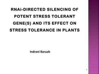 RNAi-DIRECTED SILENCING OF
POTENT STRESS TOLERANT
GENE(S) AND ITS EFFECT ON
STRESS TOLERANCE IN PLANTS
Indrani Baruah
1
 