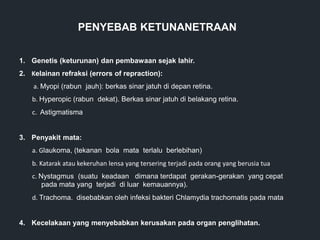 PENYEBAB KETUNANETRAAN
1. Genetis (keturunan) dan pembawaan sejak lahir.
2. Kelainan refraksi (errors of repraction):
a. Myopi (rabun jauh): berkas sinar jatuh di depan retina.
b. Hyperopic (rabun dekat). Berkas sinar jatuh di belakang retina.
c. Astigmatisma
3. Penyakit mata:
a. Glaukoma, (tekanan bola mata terlalu berlebihan)
b. Katarak atau kekeruhan lensa yang tersering terjadi pada orang yang berusia tua
c. Nystagmus (suatu keadaan dimana terdapat gerakan-gerakan yang cepat
pada mata yang terjadi di luar kemauannya).
d. Trachoma. disebabkan oleh infeksi bakteri Chlamydia trachomatis pada mata
4. Kecelakaan yang menyebabkan kerusakan pada organ penglihatan.
 