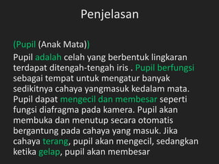 Penjelasan
(Pupil (Anak Mata))
Pupil adalah celah yang berbentuk lingkaran
terdapat ditengah-tengah iris . Pupil berfungsi
sebagai tempat untuk mengatur banyak
sedikitnya cahaya yangmasuk kedalam mata.
Pupil dapat mengecil dan membesar seperti
fungsi diafragma pada kamera. Pupil akan
membuka dan menutup secara otomatis
bergantung pada cahaya yang masuk. Jika
cahaya terang, pupil akan mengecil, sedangkan
ketika gelap, pupil akan membesar
 