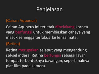 Penjelasan
(Cairan Aquoeus)
Cairan Aquoeus ini terletak dibelakang kornea
yang berfungsi untuk membiaskan cahaya yang
masuk sehingga terfokus ke lensa mata.
(Retina)
Retina merupakan selaput yang mengandung
sel-sel indera. Retina berfungsi sebagai layar,
tempat terbentuknya bayangan, seperti halnya
plat film pada kamera.
 