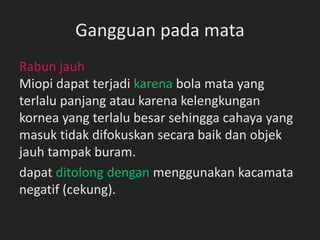 Gangguan pada mata
Rabun jauh
Miopi dapat terjadi karena bola mata yang
terlalu panjang atau karena kelengkungan
kornea yang terlalu besar sehingga cahaya yang
masuk tidak difokuskan secara baik dan objek
jauh tampak buram.
dapat ditolong dengan menggunakan kacamata
negatif (cekung).
 