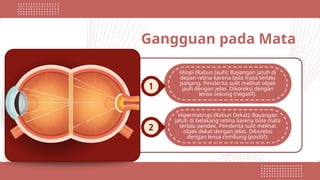Gangguan pada Mata
Miopi (Rabun Jauh): Bayangan jatuh di
depan retina karena bola mata terlalu
panjang. Penderita sulit melihat objek
jauh dengan jelas. Dikoreksi dengan
lensa cekung (negatif).
Hipermetropi (Rabun Dekat): Bayangan
jatuh di belakang retina karena bola mata
terlalu pendek. Penderita sulit melihat
objek dekat dengan jelas. Dikoreksi
dengan lensa cembung (positif).
 