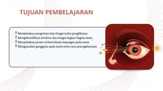 TUJUAN PEMBELAJARAN
 Menjelaskan pengertian dan fungsi indra penglihatan
 Mengidentifikasi struktur dan fungsi bagian-bagian mata
 Menjelaskan proses terbentuknya bayangan pada mata
 Menganalisis gangguan pada mata serta cara pencegahannya
 