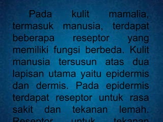 Pada kulit mamalia,
termasuk manusia, terdapat
beberapa reseptor yang
memiliki fungsi berbeda. Kulit
manusia tersusun atas dua
lapisan utama yaitu epidermis
dan dermis. Pada epidermis
terdapat reseptor untuk rasa
sakit dan tekanan lemah.
 