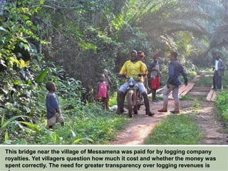 This bridge near the village of Messamena was paid for by logging company
royalties. Yet villagers question how much it cost and whether the money was
spent correctly. The need for greater transparency over logging revenues is
clear.
 