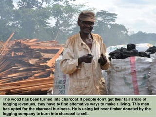 The wood has been turned into charcoal. If people don’t get their fair share of
logging revenues, they have to find alternative ways to make a living. This man
has opted for the charcoal business. He is using left over timber donated by
the logging company to burn into charcoal to sell.
 