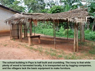 The school building in Payo is half built and crumbling. The irony is that while
plenty of wood is harvested locally, it is transported out by logging companies,
and the villagers lack the basic equipment to make furniture.
 