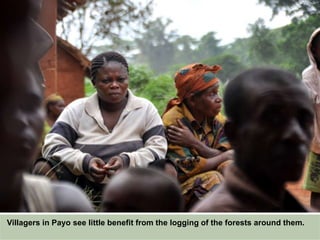 Villagers in Payo see little benefit from the logging of the forests around them.
 