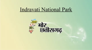 Indravati National Park
 