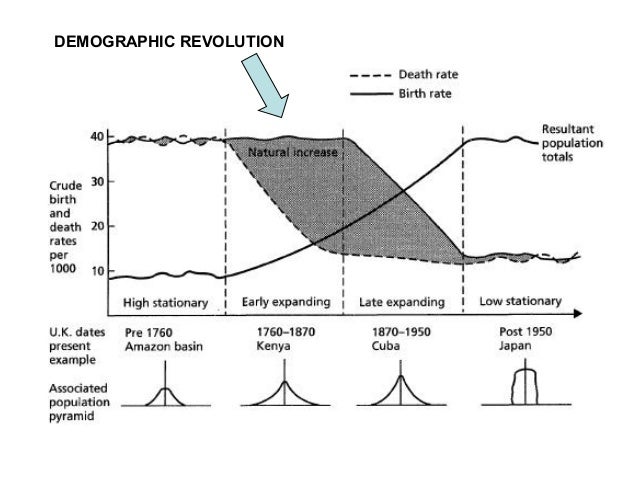 High Food Demand In The Industrial Revolution High Food Demand In The Industrial Revolution