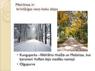 Meirānos ir:   brīnišķīgas veco koku alejas Kunguparks  –Meirānu muiža  un Mežsētas ,  kur baronam Volfam bijis medību namiņš Olgupurvs 