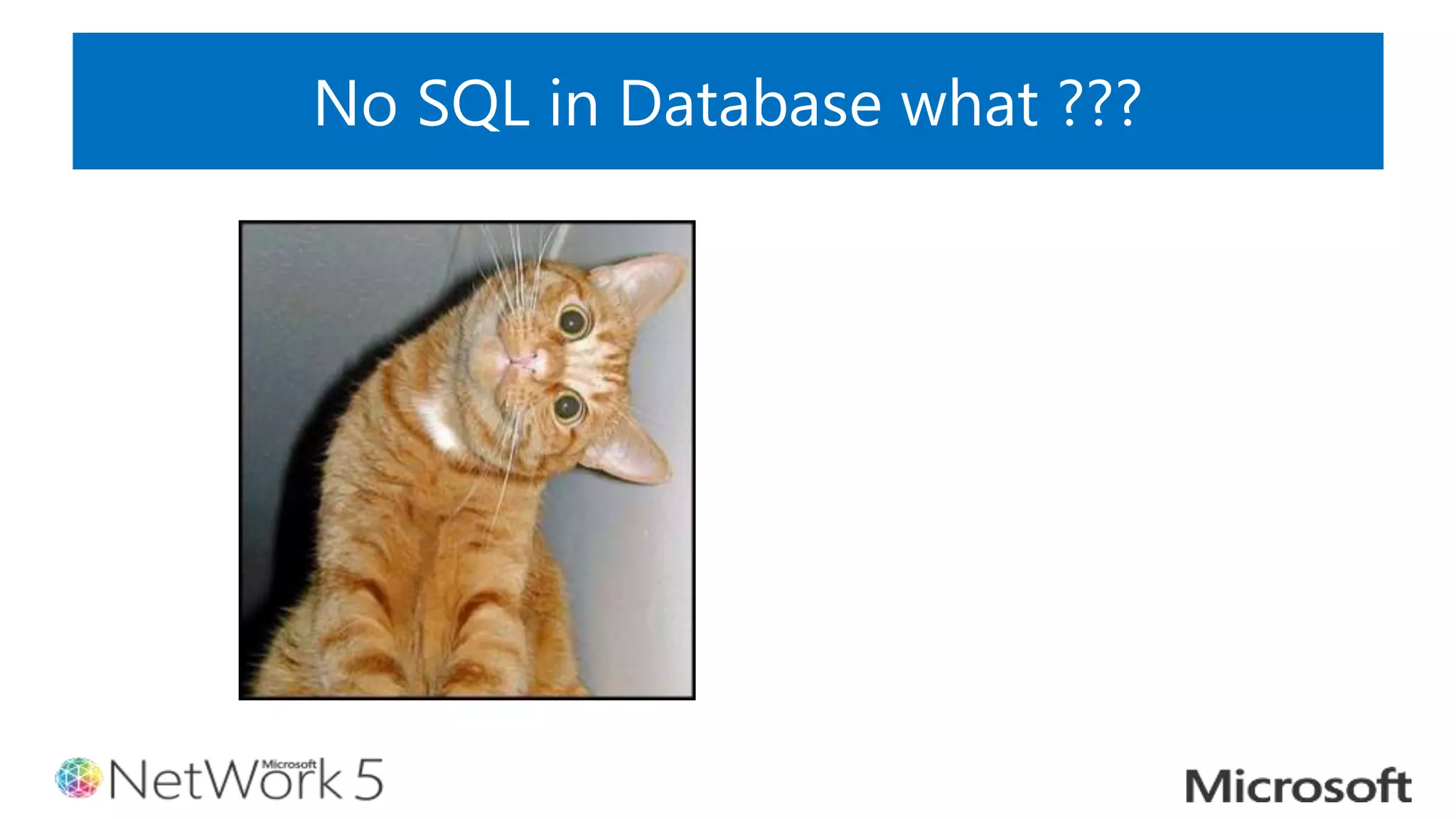 No SQL in Database what ???
 
