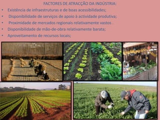FACTORES DE ATRACÇÃO DA INDÚSTRIA:Existência de infraestruturas e de boas acessibilidades; Disponibilidade de serviços de apoio à actividade produtiva; Proximidade de mercados regionais relativamente vastos . Disponibilidade de mão-de-obra relativamente barata;Aproveitamento de recursos locais;