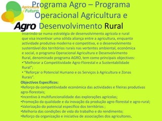Inserindo-se numa estratégia de desenvolvimento agrícola e rural que visa incentivar uma sólida aliança entre a agricultura, enquanto actividade produtiva moderna e competitiva, e o desenvolvimento sustentável dos territórios rurais nas vertentes ambiental, económica e social, o programa Operacional Agricultura e Desenvolvimento Rural, denominado programa AGRO, tem como principais objectivos:“Melhorar a Competitividade Agro-Florestal e a Sustentabilidade Rural”; 
