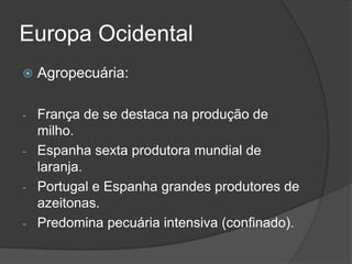 Europa Ocidental
 Agropecuária:
- França de se destaca na produção de
milho.
- Espanha sexta produtora mundial de
laranja.
- Portugal e Espanha grandes produtores de
azeitonas.
- Predomina pecuária intensiva (confinado).
 